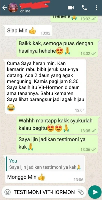 Testi01